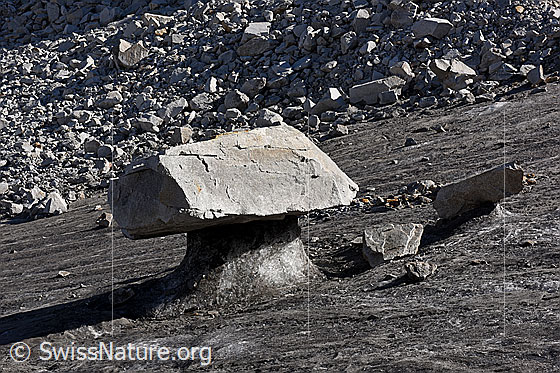 Foto: Grosser Gletschertisch.
