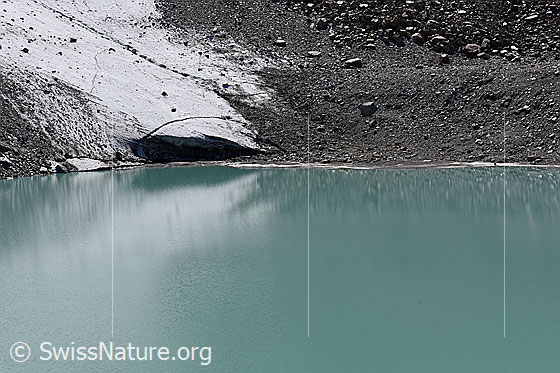 Foto: Gletscherzunge, welche in Gletschersee mündet.