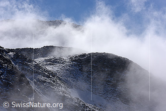 Foto: Nebelstimmung in Felsbuckeln