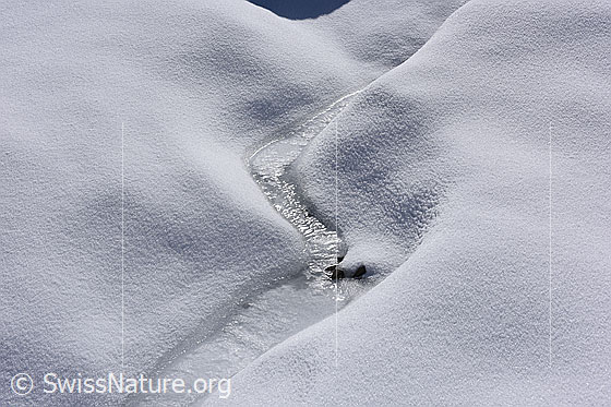 Foto: Gefrorener Wasserlauf auf Gletscher