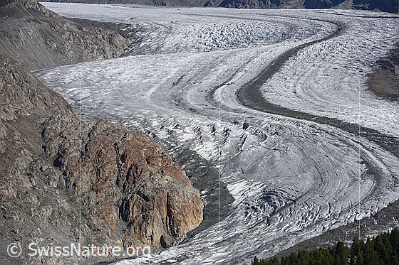 Foto: Der Eisstrom des Grossen Aletschgletschers. Gut zu sehen ist die markante Mittelmoräne.

