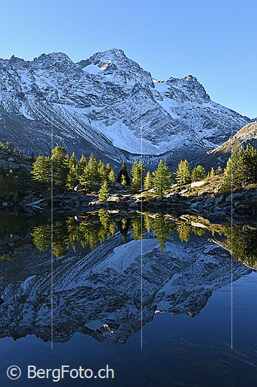 Foto: Perfekte Spiegelung.