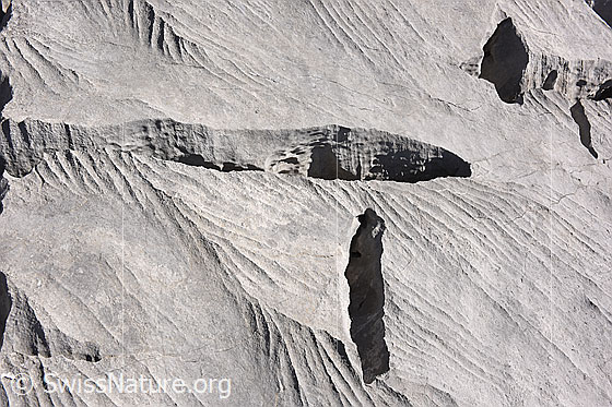 Foto: Strukturen in Karstlandschaft.