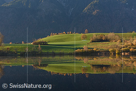 Foto: Spiegelung einer grünen Hügellandschaft.