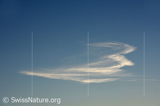 Foto: Lustig geformte Wolke.