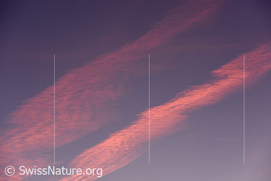 Foto: Farbige Wolken am Morgenhimmel