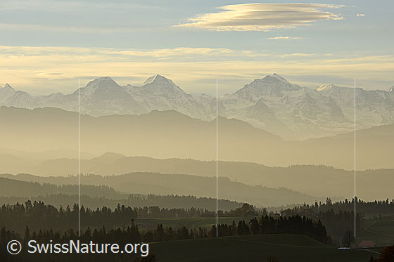 Foto: Fein abgestufte Hügelsilhouetten vor Eiger, Mönch und Jungfrau.