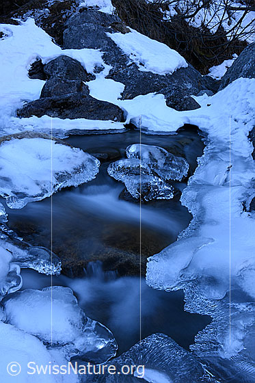 Foto: Kunstvolle Eisgebilde in Bergbach (Langzeitbelichtung).