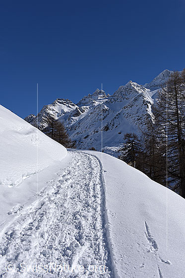 Foto: Winterwanderweg