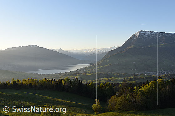 Foto: Feine Morgenstimmung über dem Zugersee. Rechts die Rigi (Rigi-Kulm), links der Gnipen (Wildspitz).