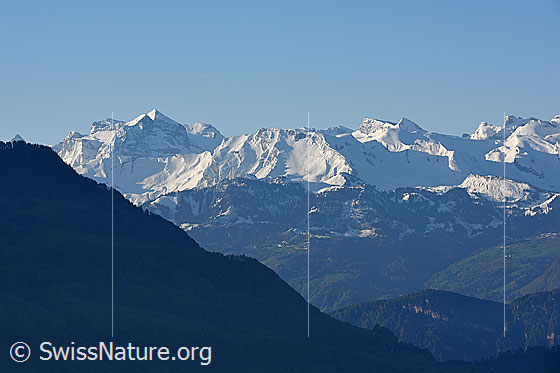 Foto: Zentralalpen vom Rooterberg. Zu sehen u.a. der Uri-Rotstock.