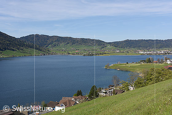 Foto: Blick über dem Ägerisee Richtung W.