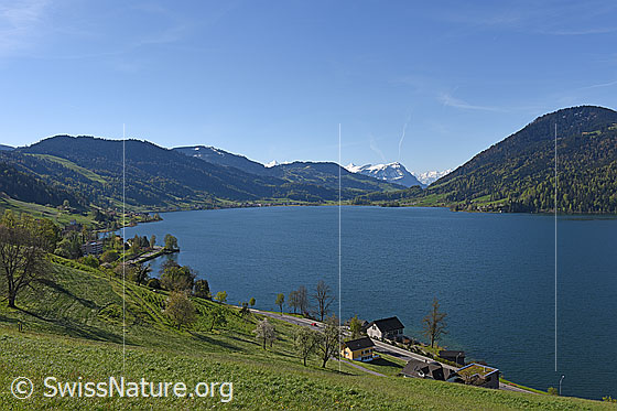 Foto: Blick über dem Ägerisee Richtung SE.