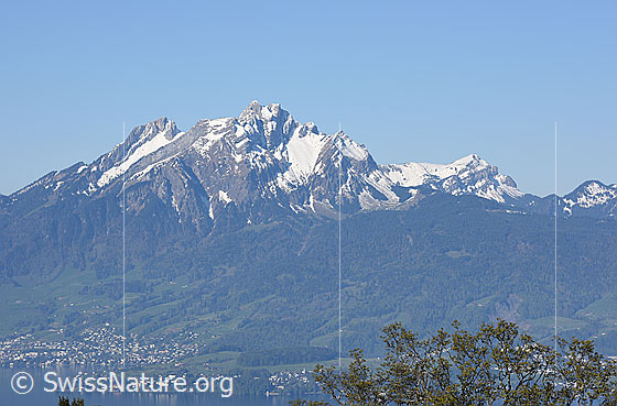 Foto: Pilatus von ENE (Seebodenalp).