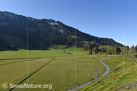 Foto: Entwässerte Moorfläche auf der Seebodenalp.