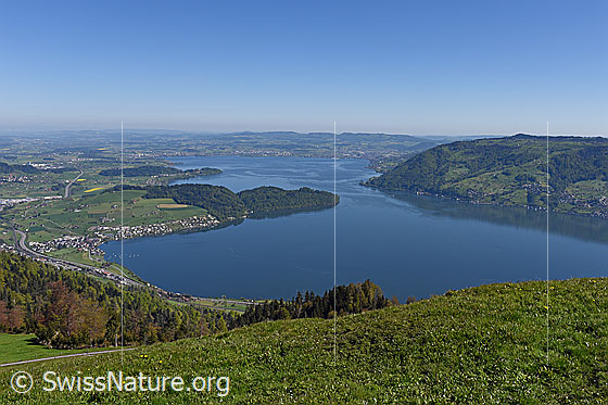 Foto: Zugersee von der Seebodenalp.