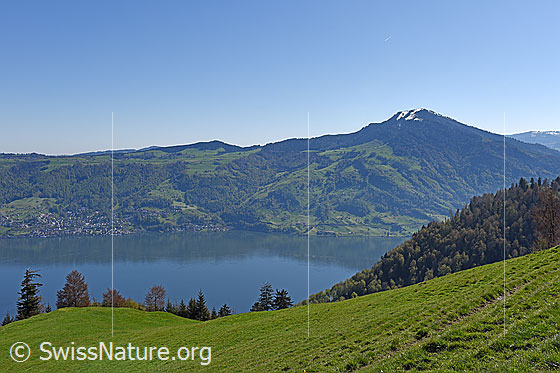 Foto: Zugersee und Wildspitz.
