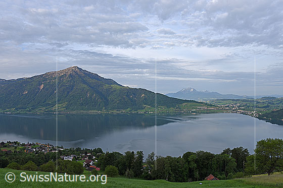 Foto: Zugersee und Rigi.