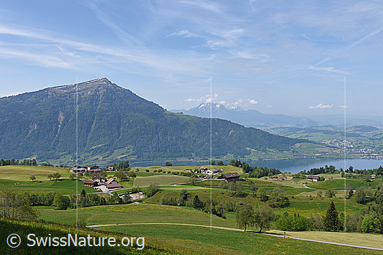 Foto: Rigi vom Walchwilerberg. Rechts ist ein Teil des Zugersees zu sehen.
