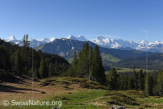 Foto: Berner Alpen vom Hohgantgebiet.