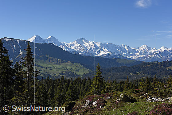Foto: Alpenpanorama vom Hohgantgebiet.