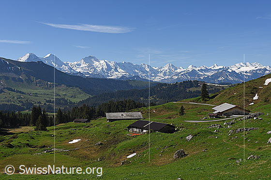 Foto: Alphütten vor Berner Alpen