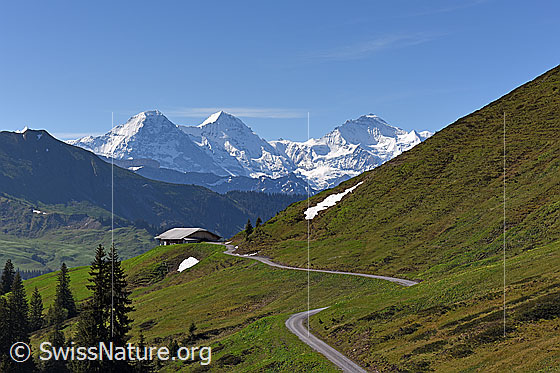 Foto: Alphütte vor Eiger, Mönch und Jungfrau.