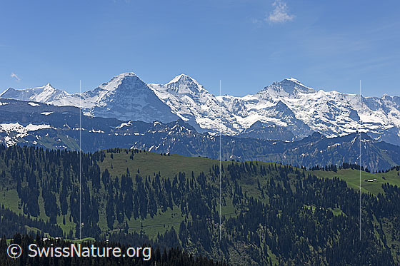Foto: Eiger, Mönch und Jungfrau. Davor der westliche Teil des Brienzergrates.