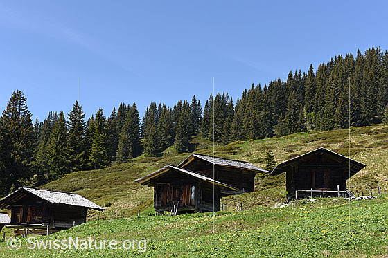 Foto: Alphütten im Hohgantgebiet.