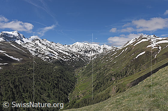 Foto: Blick vom Breithorn (Kreuz) über das Saflischtal zu Oberblatthorn und Saflischpass.