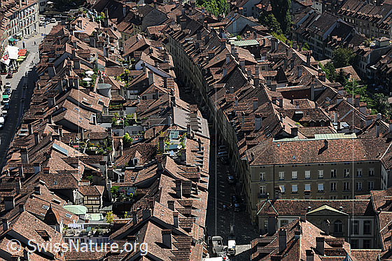 Foto: Blick vom Münster auf die Altstadt (Unterstadt) von Bern.