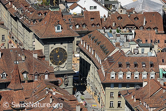 Foto: Blick vom Münster auf die Altstadt (inkl. Zytgloggeturm) von Bern.