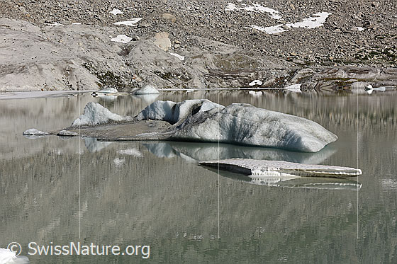 Foto: Eisschollen auf dem Gletschersee am Rhonegletscher.