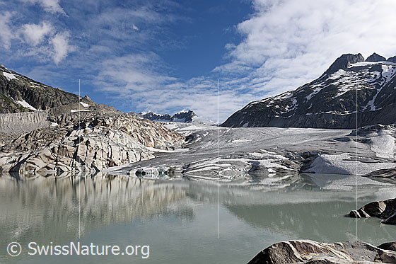 Foto: Interessante Formen in den Felsen und an der Gletscherzunge des Rhonegletschers entstanden durch Spiegelung im Gletschersee. Die abgeflachte Zunge mündet direkt in den See. Das felsige Ufer voller Muster und Strukturen, die Schleierwolken am blauen Himmel und die schwache Spiegelung verleihen der Getscherlandschaft eine besondere Stimmung.



Als Folge des Klimawandels entstehen an den Gletschern immer wieder neue Seen, wie z.B. am Rhonegletscher. Ca. 2006 war erstmals zu sehen, dass der sich zurückziehende Rhonegletscher einen See zurücklassen wird. Seither ist die Fläche des Sees jährlich gewachsen.
