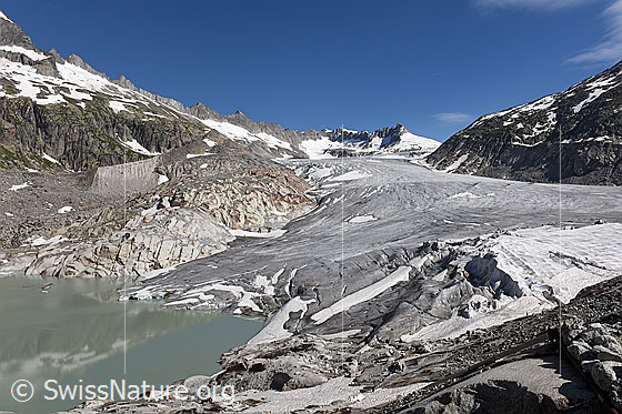 Foto: Die Gletscherzunge des Rhonegletschers mündet in den spiegelnden Gletschersee (Rottensee). Im rechten Bildteil sind helle Planen zu sehen, welche als Schutz gegen zu rasches Abschmelzen des Eises über die Eisgrotte gespannt wurden. Die Eisgrotte dient als Sehenswürdigkeit für Touristen.

