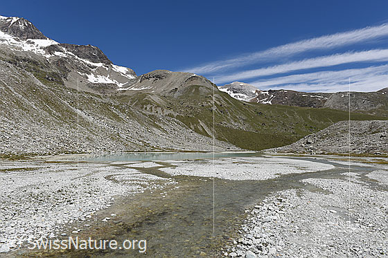 Foto: Gletschervorfeld mit See.