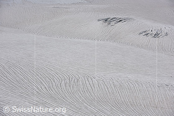 Foto: Strukturen und Formen auf dem Schwarzberggletscher.