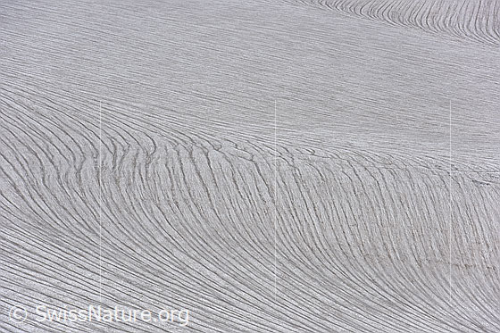 Foto: Strukturen und Formen auf dem Schwarzberggletscher.
