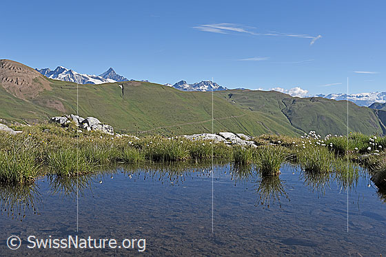 Foto: Nordhänge des Saflischtals aus der Region Oberblatthorn.
