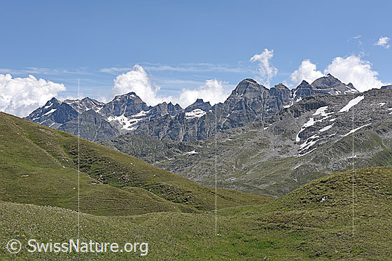 Foto: Saflischpass-Region: Blick zu Scherbadung- und Helsenhorn-Gruppe