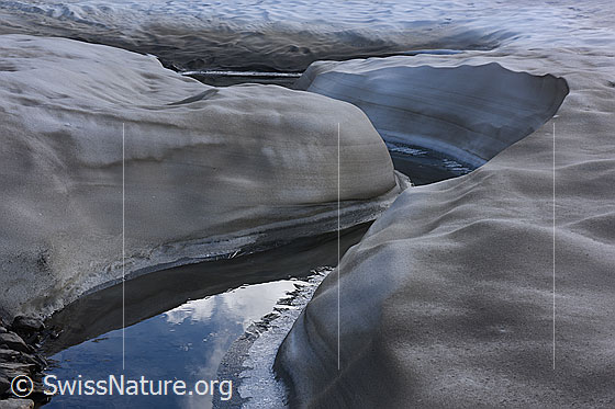 Foto: Geschwungener Wasserlauf am Gletscherrand.