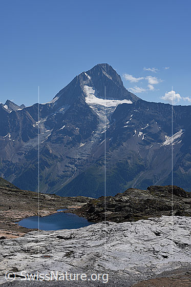 Foto: Bietschhorn, Birchgletscher (links) und Nestgletscher (rechts). Zwischen Birchgletscher und Nestgletscher befindet sich das Kleine Nesthorn. Ansicht aus der Region Lötschenpass.