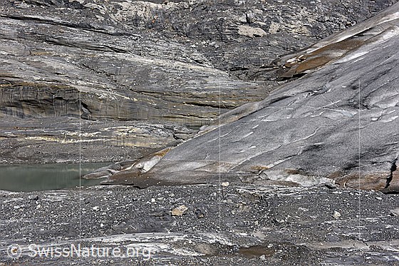 Foto: Gletscherzunge des Kanderfirns.