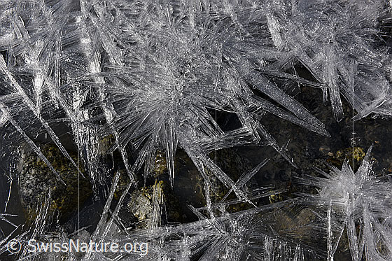 Foto: Glitzernde Eiskristalle und Eissterne. Die natürlichen Kunstwerke bedecken die Wasseroberfläche eines fliessenden Gewässers.
