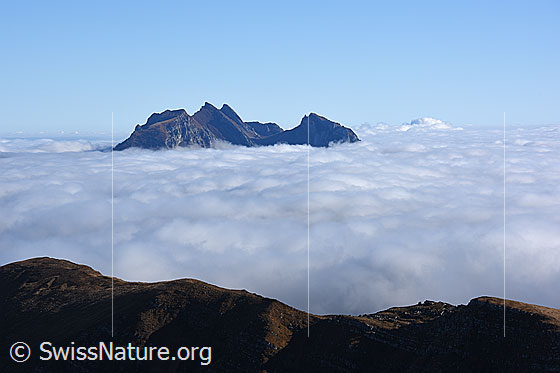 Foto: Pilatus von SW (Fürstein). Mit grossem Nebelmeer.