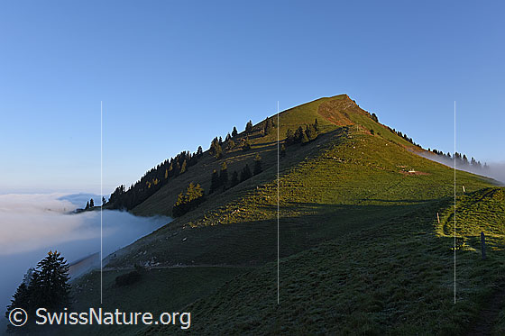 Foto: Gipfel des Buochserhorns von SE.