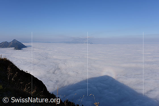 Foto: Blick vom Buochserhorn auf grosses Nebelmeer über der Zentralschweiz.