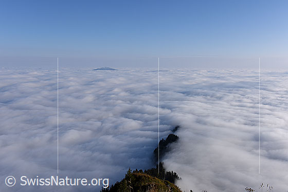 Foto: Blick vom Buochserhorn auf grosses Nebelmeer. Gehört zum Herbst wie der Schnee zum Winter: Ausgedehntes Nebelmeer über der Zentralschweiz.
