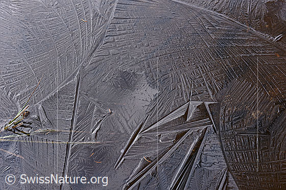 Foto: Formen auf Eisschicht.