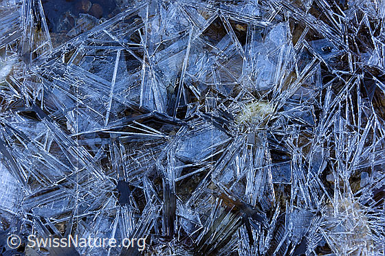 Foto: Interessante Strukturen im Eis.